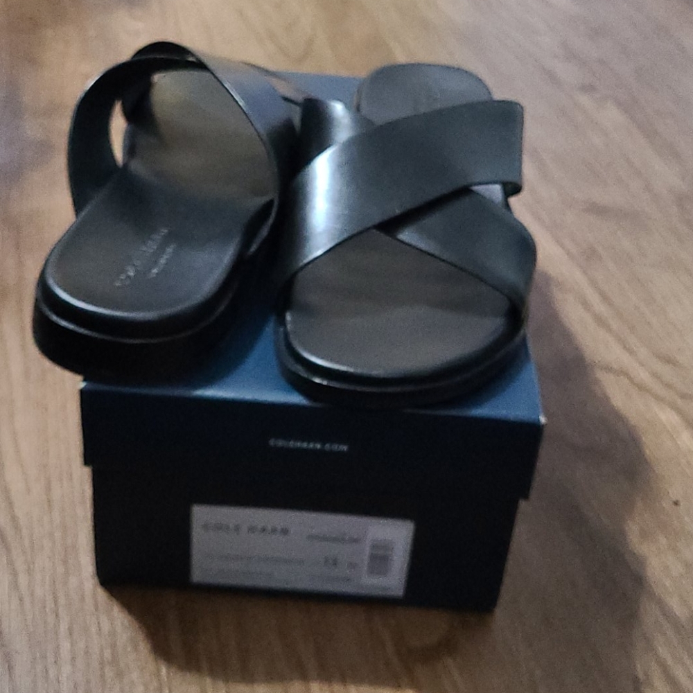 Mens Cole Haan sandals